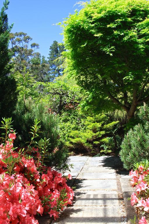 Winston Cottage At Three Sisters Katoomba Exterior photo